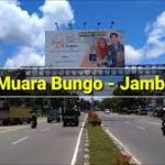 bungo